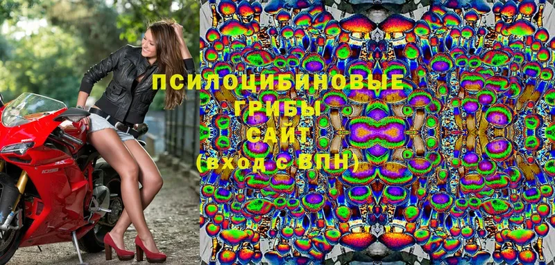 Псилоцибиновые грибы MAGIC MUSHROOMS  Клинцы 